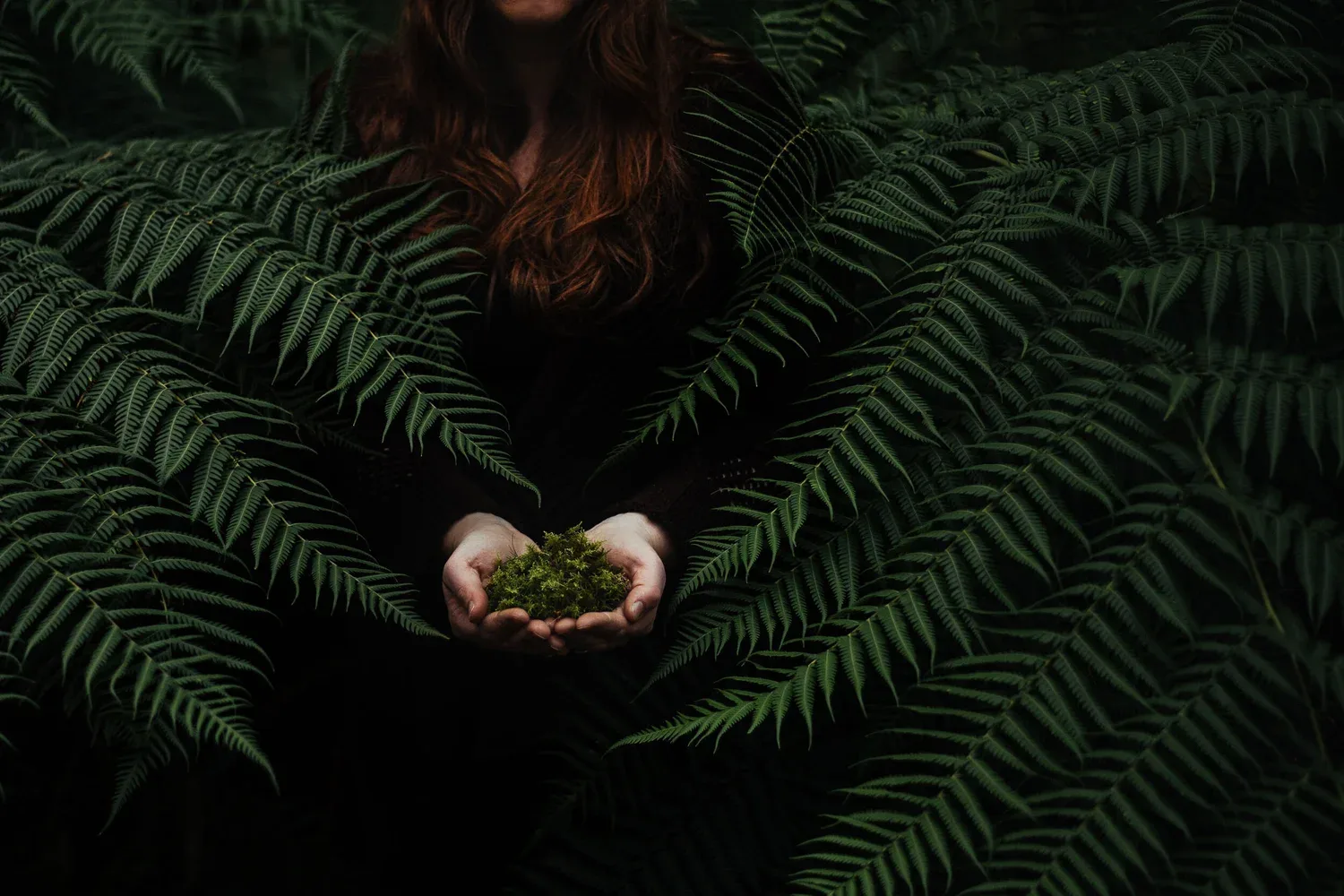 A figure framed by fern fronds.