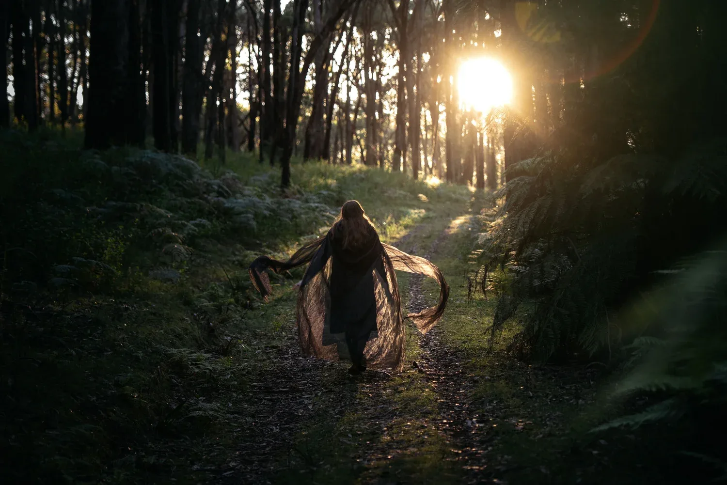 Sunlight enters through trees around a figure.