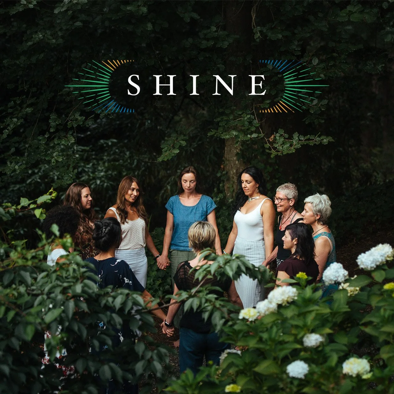 The Shine group portrait and graphic identity among foliage.